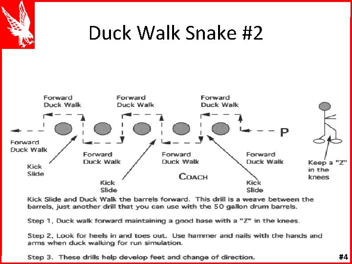 Duck Walk Snake #2 #4 