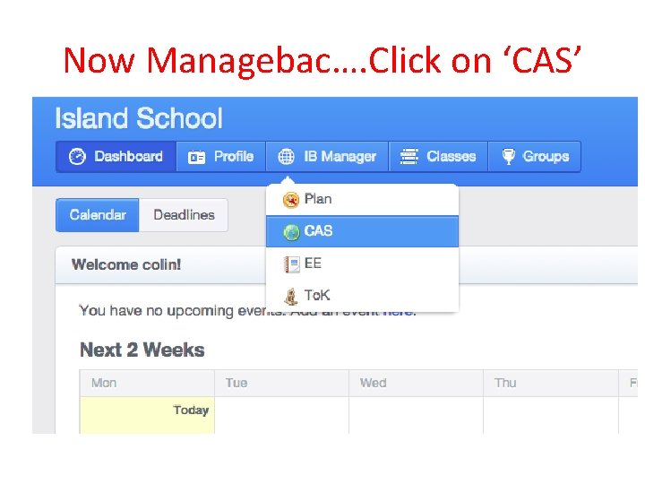 Now Managebac…. Click on ‘CAS’ 