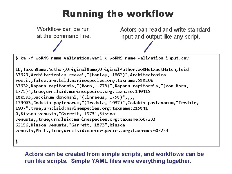 Running the workflow Workflow can be run at the command line. Actors can read
