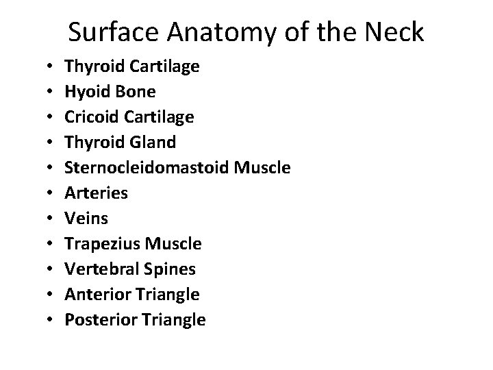 Surface Anatomy of the Neck • • • Thyroid Cartilage Hyoid Bone Cricoid Cartilage