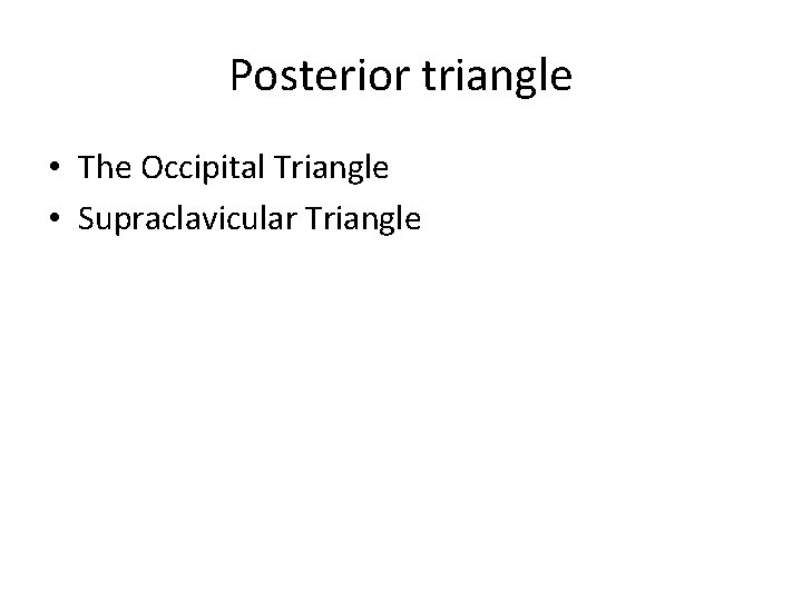 Posterior triangle • The Occipital Triangle • Supraclavicular Triangle 