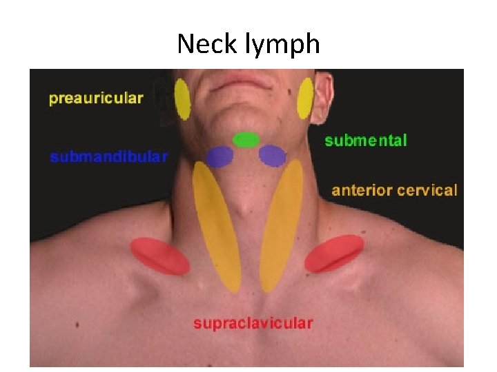 Neck lymph 