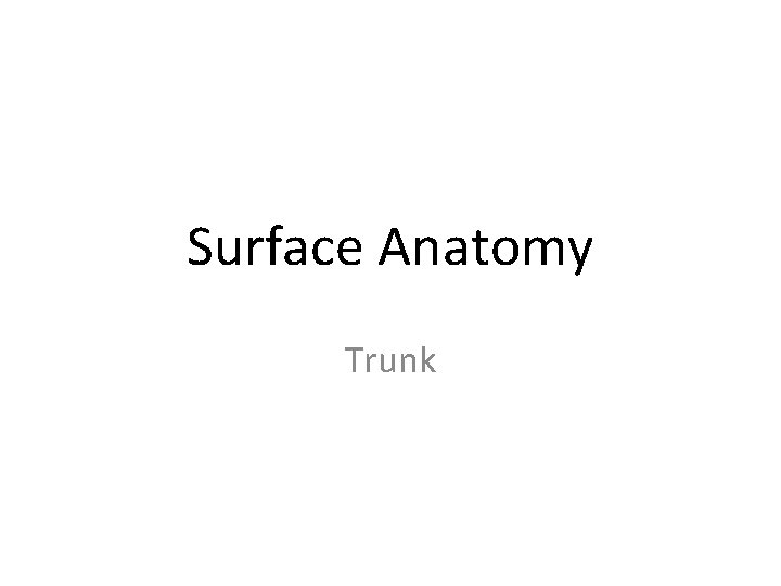 Surface Anatomy Trunk 