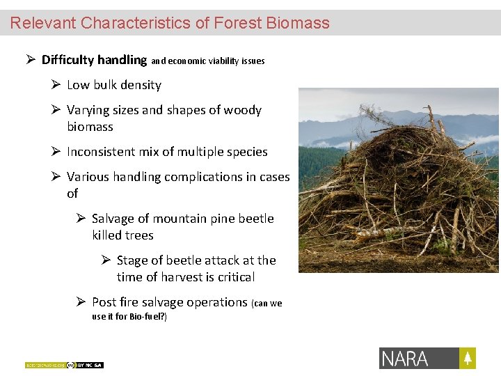 Relevant Characteristics of Forest Biomass Ø Difficulty handling and economic viability issues Ø Low