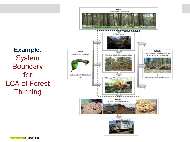 Example: System Boundary for LCA of Forest Thinning 