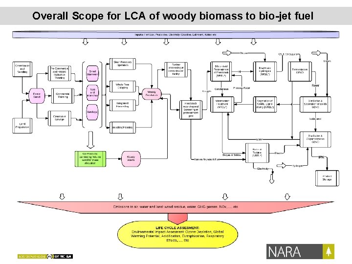 Overall Scope for LCA of woody biomass to bio-jet fuel 