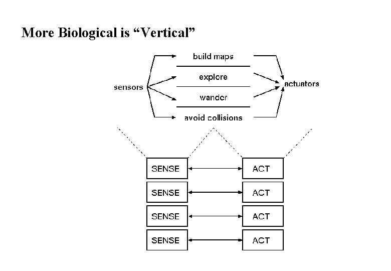 More Biological is “Vertical” 