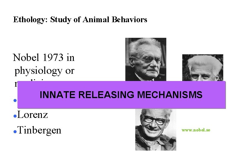 Ethology: Study of Animal Behaviors Nobel 1973 in physiology or medicine INNATE RELEASING MECHANISMS