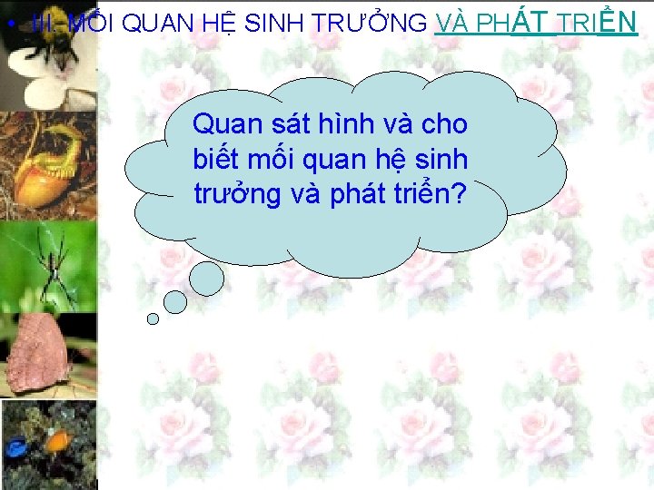  • III. MỐI QUAN HỆ SINH TRƯỞNG VÀ PHÁT TRIỂN Quan sát hình