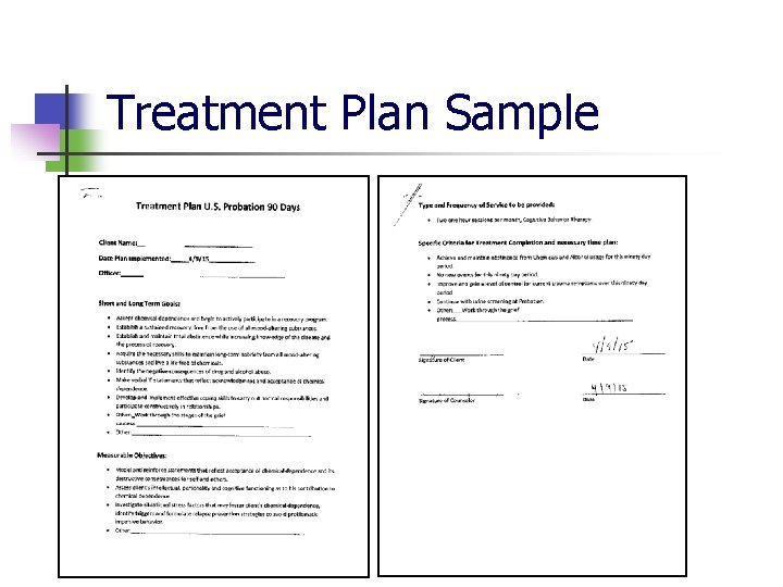 Treatment Plan Sample 