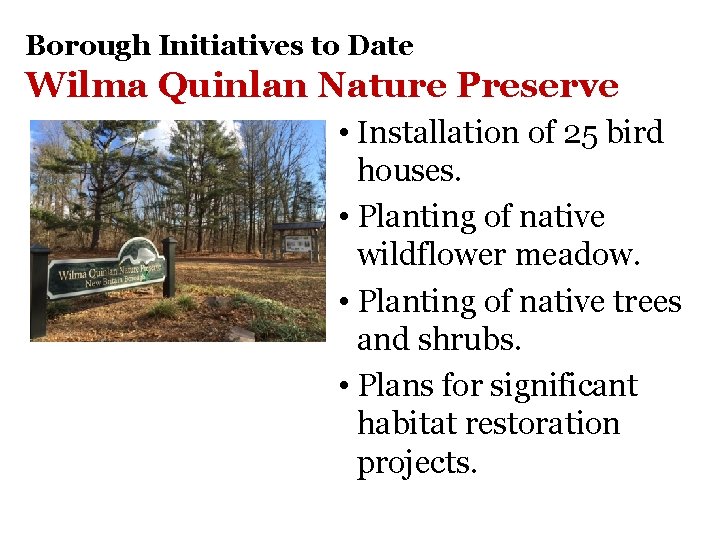 Borough Initiatives to Date Wilma Quinlan Nature Preserve • Installation of 25 bird houses.