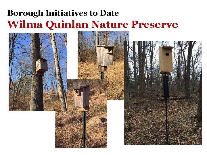 Borough Initiatives to Date Wilma Quinlan Nature Preserve 