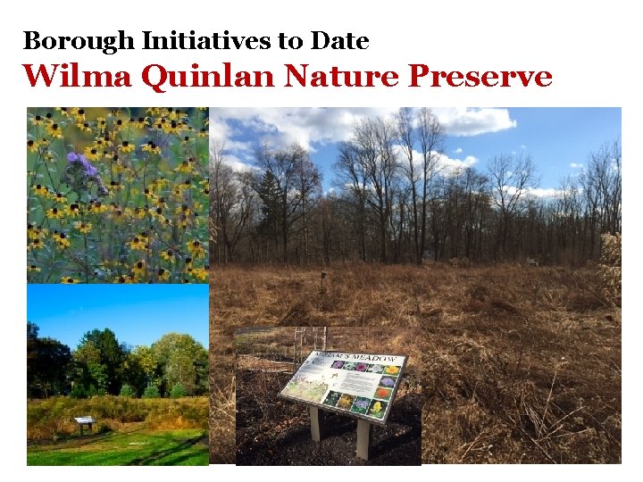 Borough Initiatives to Date Wilma Quinlan Nature Preserve 