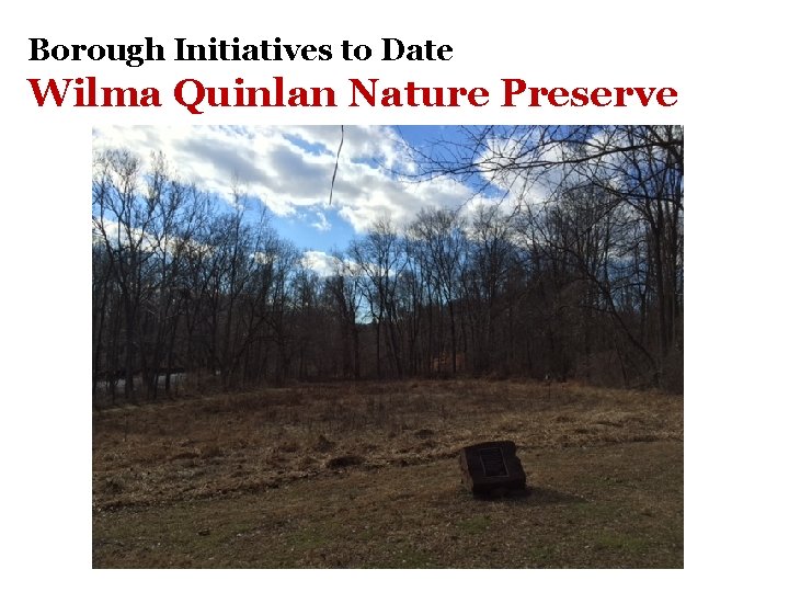 Borough Initiatives to Date Wilma Quinlan Nature Preserve 