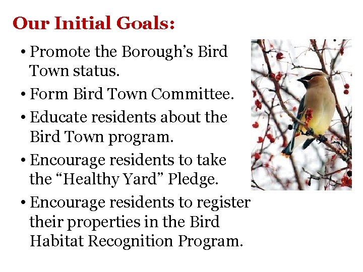 Our Initial Goals: • Promote the Borough’s Bird Town status. • Form Bird Town