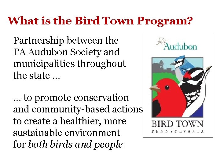 What is the Bird Town Program? Partnership between the PA Audubon Society and municipalities