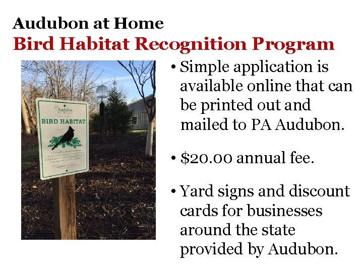 Audubon at Home Bird Habitat Recognition Program • Simple application is available online that