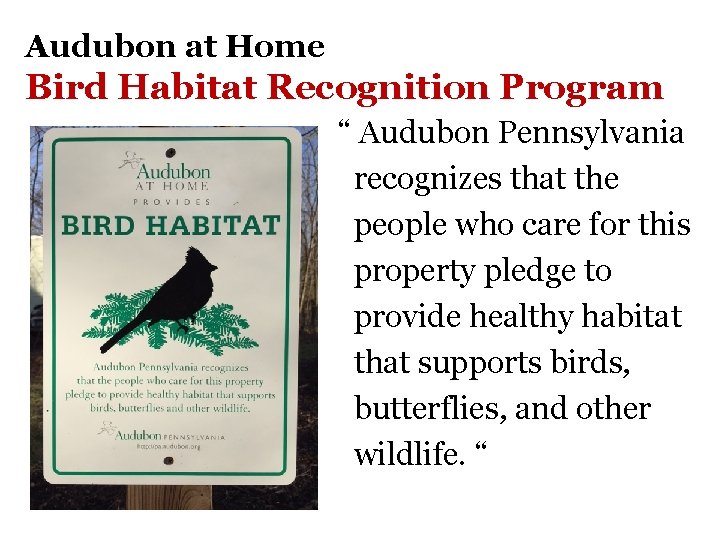 Audubon at Home Bird Habitat Recognition Program “ Audubon Pennsylvania recognizes that the people