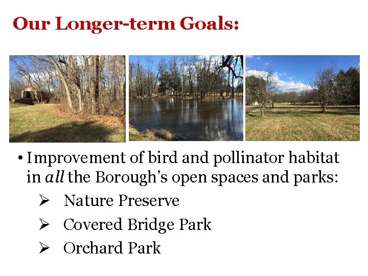 Our Longer-term Goals: • Improvement of bird and pollinator habitat in all the Borough’s