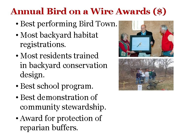 Annual Bird on a Wire Awards ($) • Best performing Bird Town. • Most