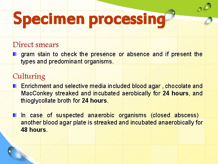 Specimen processing Direct smears gram stain to check the presence or absence and if