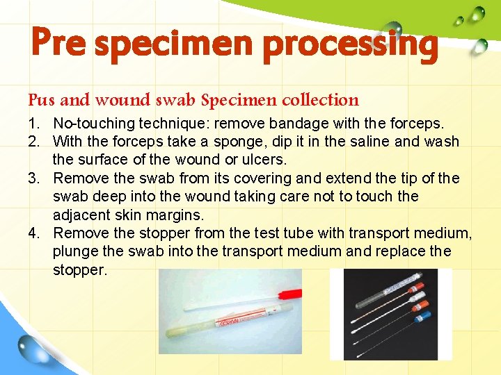 Pre specimen processing Pus and wound swab Specimen collection 1. No-touching technique: remove bandage