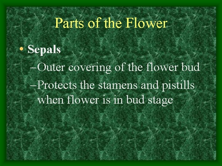 Parts of the Flower • Sepals – Outer covering of the flower bud –