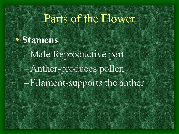 Parts of the Flower • Stamens – Male Reproductive part – Anther-produces pollen –