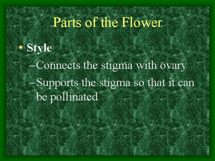 Parts of the Flower • Style – Connects the stigma with ovary – Supports