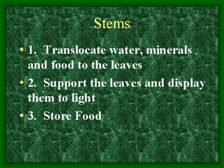 Stems • 1. Translocate water, minerals and food to the leaves • 2. Support
