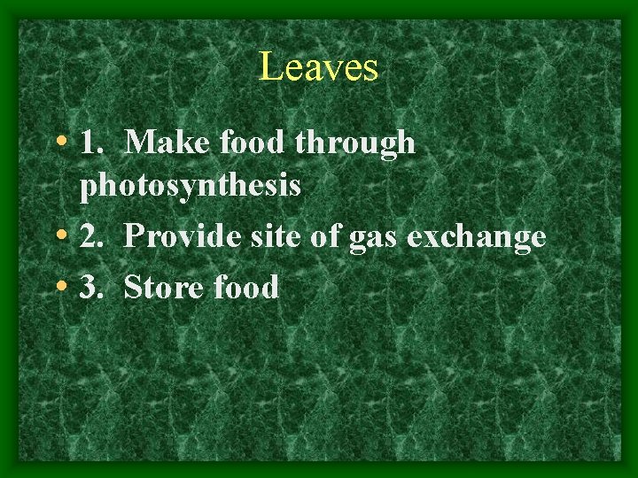Leaves • 1. Make food through photosynthesis • 2. Provide site of gas exchange