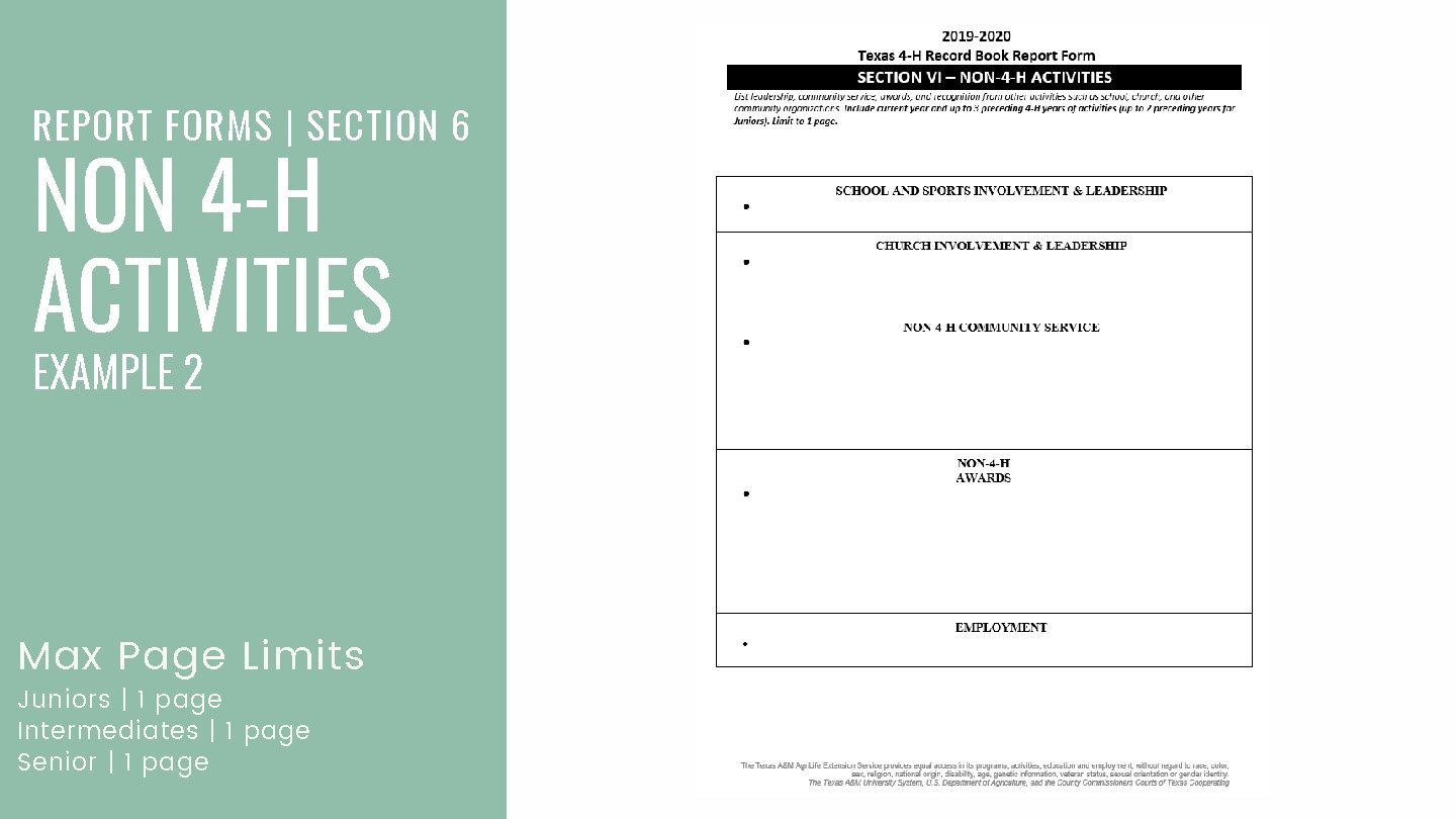 REPORT FORMS | SECTION 6 NON 4 -H ACTIVITIES EXAMPLE 2 Max Page Limits