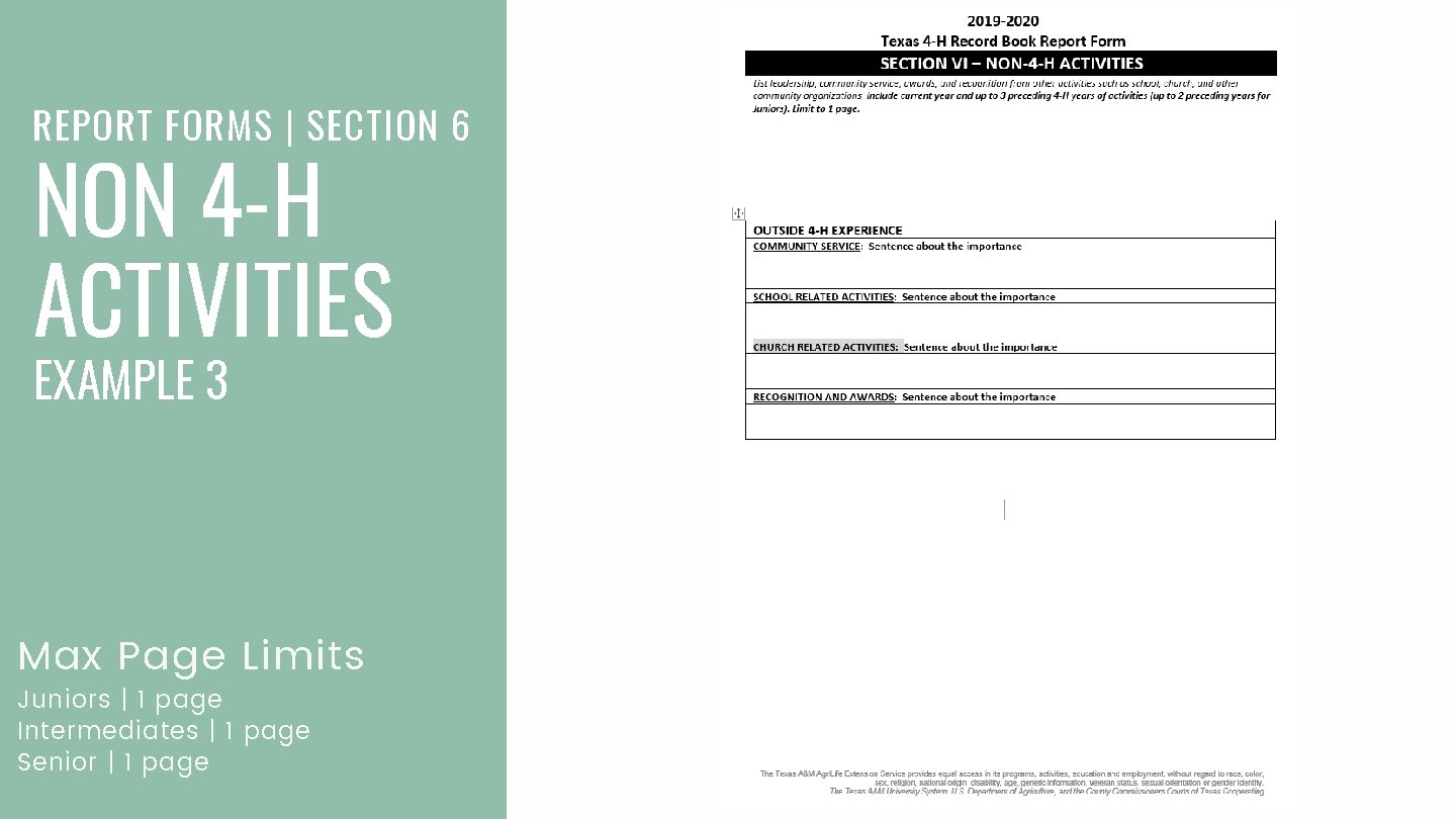 REPORT FORMS | SECTION 6 NON 4 -H ACTIVITIES EXAMPLE 3 Max Page Limits