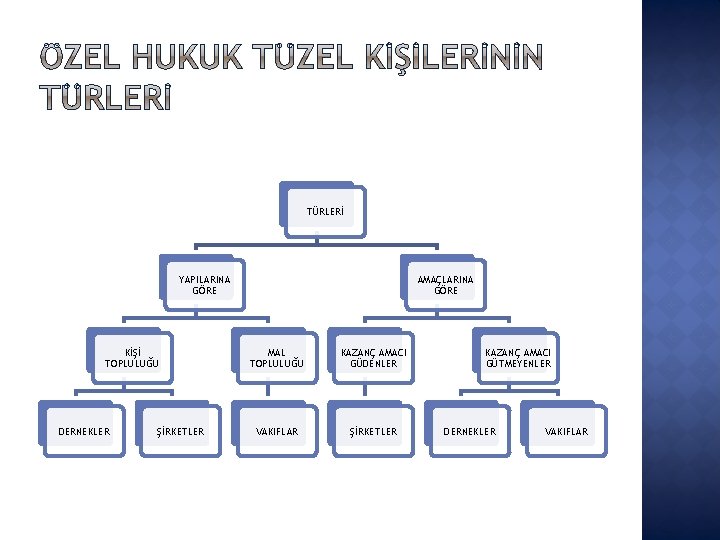 TÜRLERİ YAPILARINA GÖRE KİŞİ TOPLULUĞU DERNEKLER ŞİRKETLER AMAÇLARINA GÖRE MAL TOPLULUĞU KAZANÇ AMACI GÜDENLER