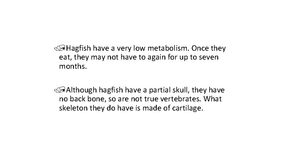 /Hagfish have a very low metabolism. Once they eat, they may not have to