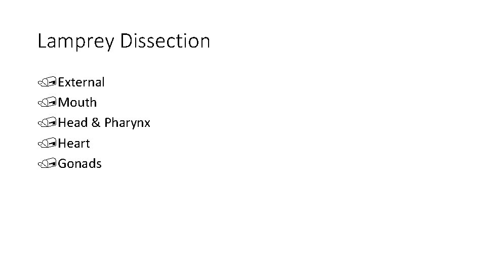 Lamprey Dissection /External /Mouth /Head & Pharynx /Heart /Gonads 