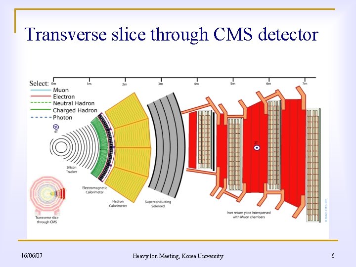 Transverse slice through CMS detector 16/06/07 Heavy Ion Meeting, Korea University 6 