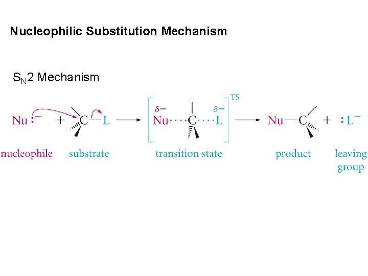 Nucleophilic Substitution Mechanism SN 2 Mechanism 
