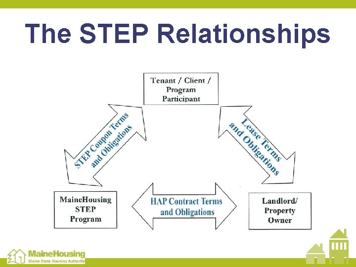 The STEP Relationships 