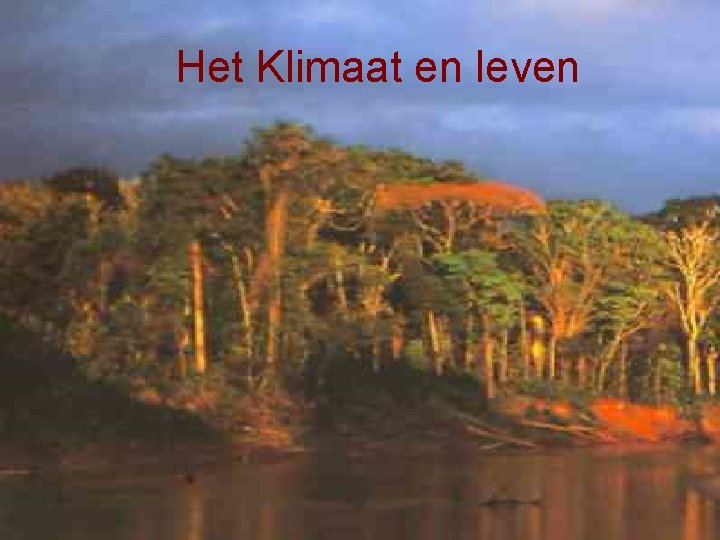 Klimaat Amazonegebied Hoe komt het dat het rond