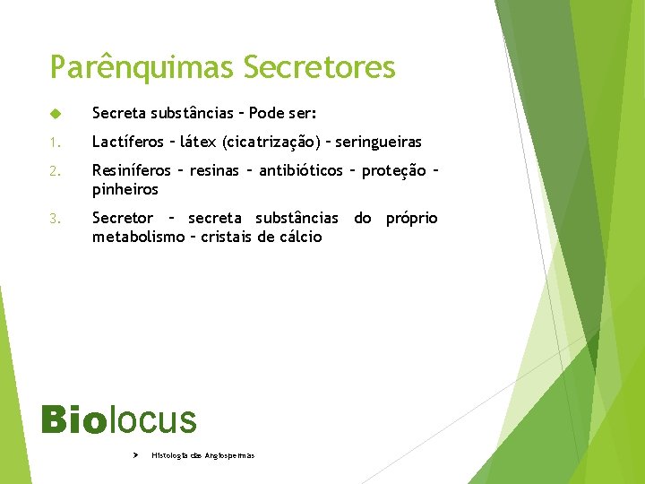 Parênquimas Secretores Secreta substâncias – Pode ser: 1. Lactíferos – látex (cicatrização) – seringueiras