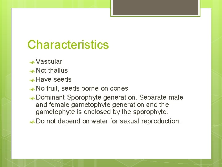Characteristics Vascular Not thallus Have seeds No fruit, seeds borne on cones Dominant Sporophyte