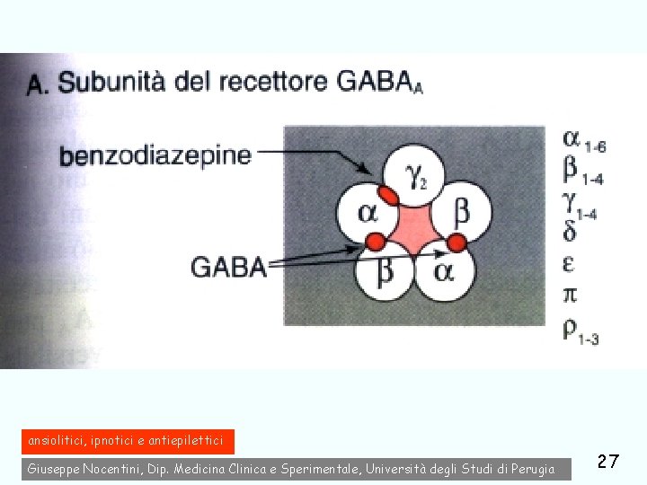 ansiolitici, ipnotici e antiepilettici Giuseppe Nocentini, Dip. Medicina Clinica e Sperimentale, Università degli Studi