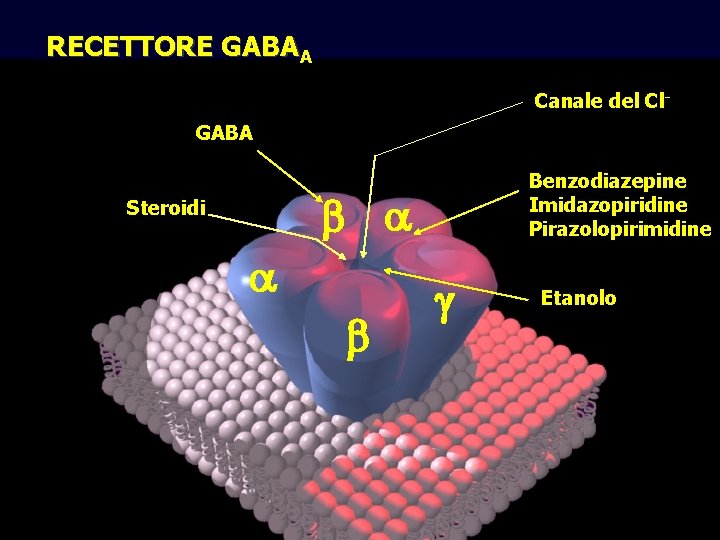 RECETTORE GABAA Canale del Cl. GABA Benzodiazepine Imidazopiridine Pirazolopirimidine Steroidi Etanolo ansiolitici, ipnotici e