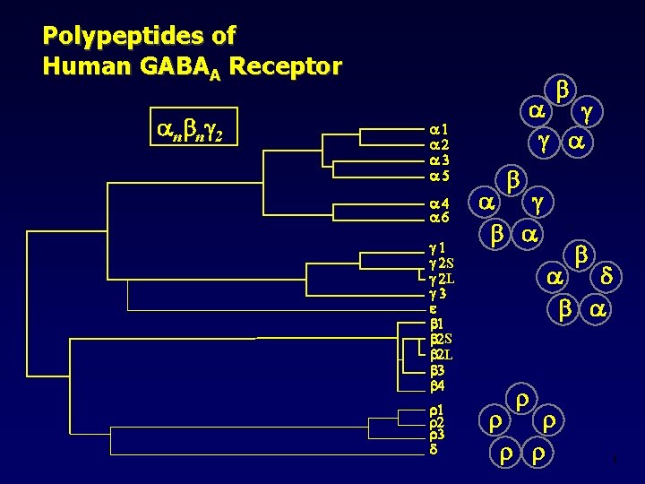 Polypeptides of Human GABAA Receptor n n 2 S L e S L ansiolitici,