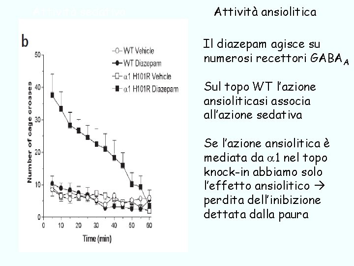 Attività sedativa Attività ansiolitica Il diazepam agisce su numerosi recettori GABAA Sul topo WT