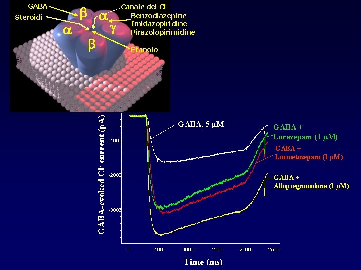 GABA Etanolo GABA-evoked Cl- current (p. A) Steroidi Canale del Cl. Benzodiazepine Imidazopiridine Pirazolopirimidine