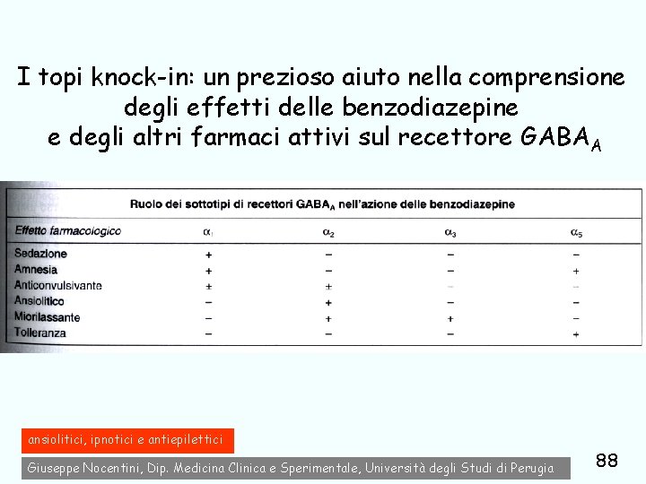 I topi knock-in: un prezioso aiuto nella comprensione degli effetti delle benzodiazepine e degli