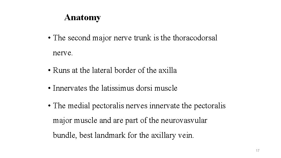 Anatomy • The second major nerve trunk is the thoracodorsal nerve. • Runs at