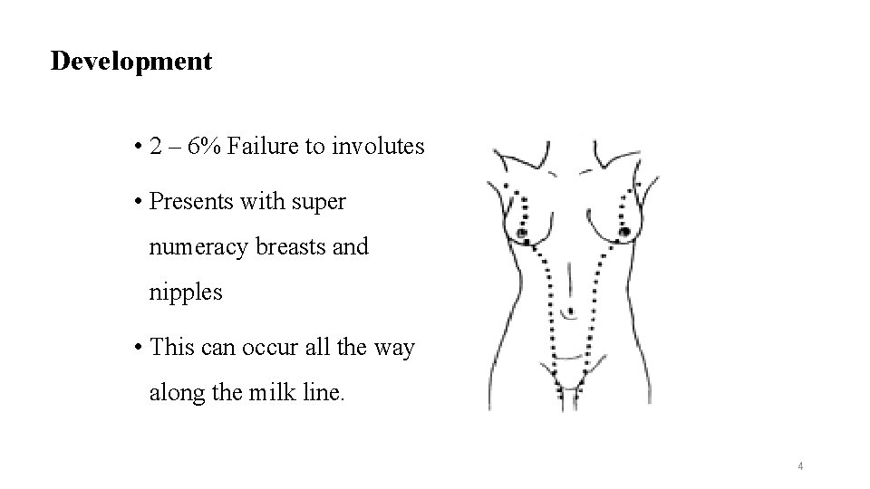Development • 2 – 6% Failure to involutes • Presents with super numeracy breasts